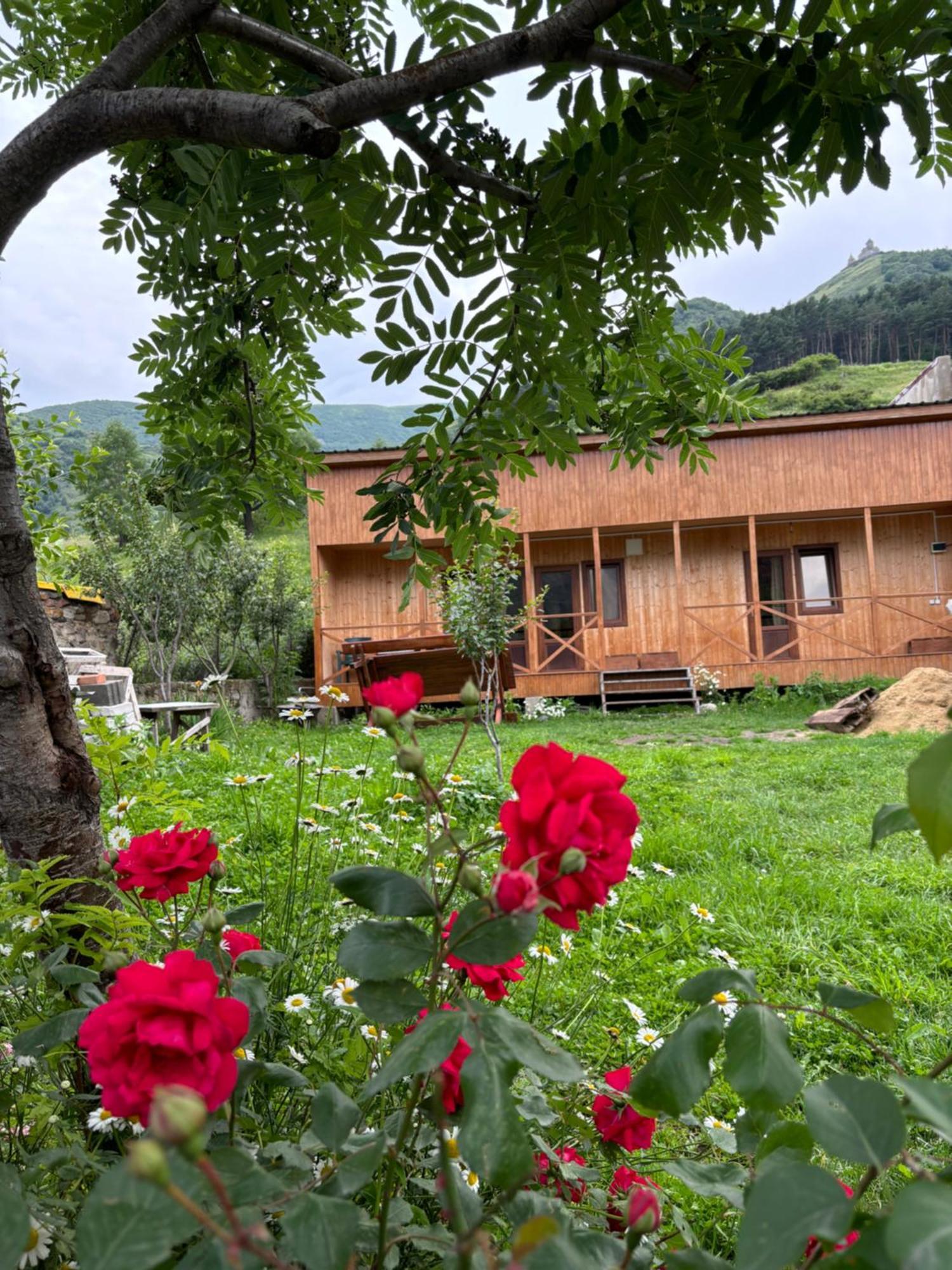 Family Hostel Nika Kazbegi Eksteriør bilde